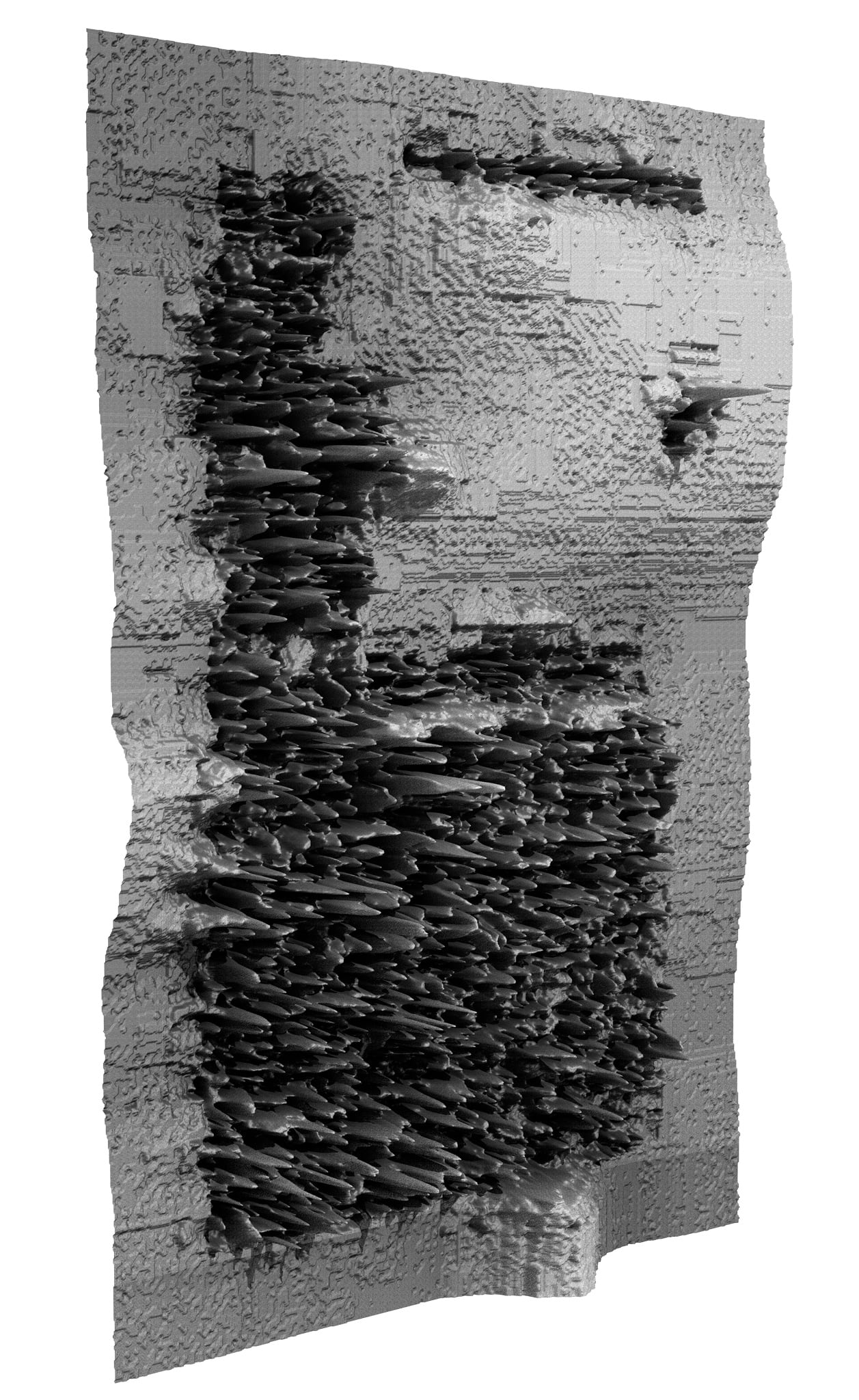 <p><i>Multispec</i> - Cast(3D Model), 2020. Sand Cast Aluminum, 1350 x 950mm. </p>